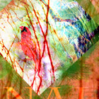 Digital Art for Cardinal Poster.